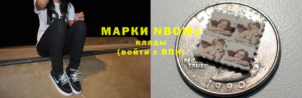 индика Ростов