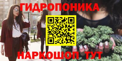 прущие крисы Беслан