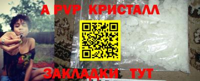 индика Нальчик