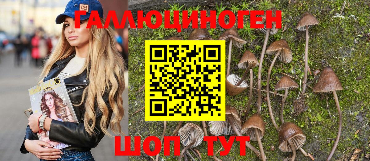 Псилоцибиновые грибы Psilocybine cubensis  Вход с VPN  Галлюциногенные грибы Psilocybe  Красноуфимск 