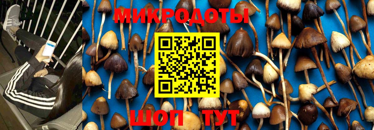Псилоцибиновые грибы Magic Shrooms Красноуфимск