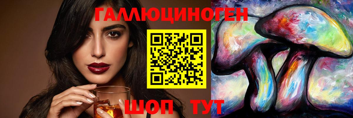 Галлюциногенные грибы Psilocybine cubensis  Красноуфимск 